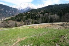 Terrain Les Recourbes, Lot 4 - The land and view of Mont Blanc