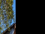 Grange La Sciaux - 