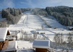 Appt. Silverstone Lodge, D - View (1) of the pistes
