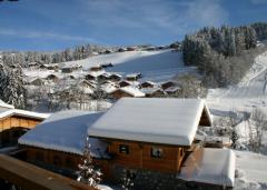 Appt. Silverstone Lodge, D - View (2)