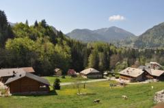 Chalet Sur Le Char - The view