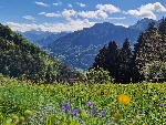Ferme de la Tate - 