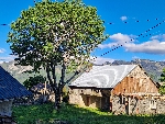 Ferme de la Tate - 