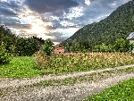 Terrain Argentière - 