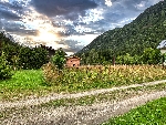 Terrain Argentière - 