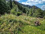 Terrain La Joux - 