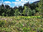 Terrain La Joux - 