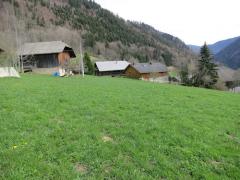 Terrain Mt Evian - Looking SE across the plot