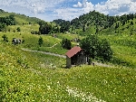 Ferme Tivanche - 