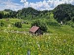 Ferme Tivanche - 