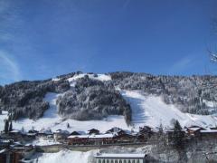 Appt. Les Bois Venants - View of the Pleney slopes in the winter